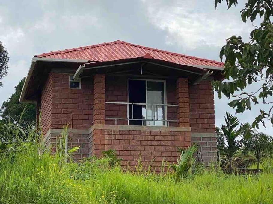 Mars Jungle Adventure Stud Farm With Private Jacuzzi Villa Narsinge Dış mekan fotoğraf