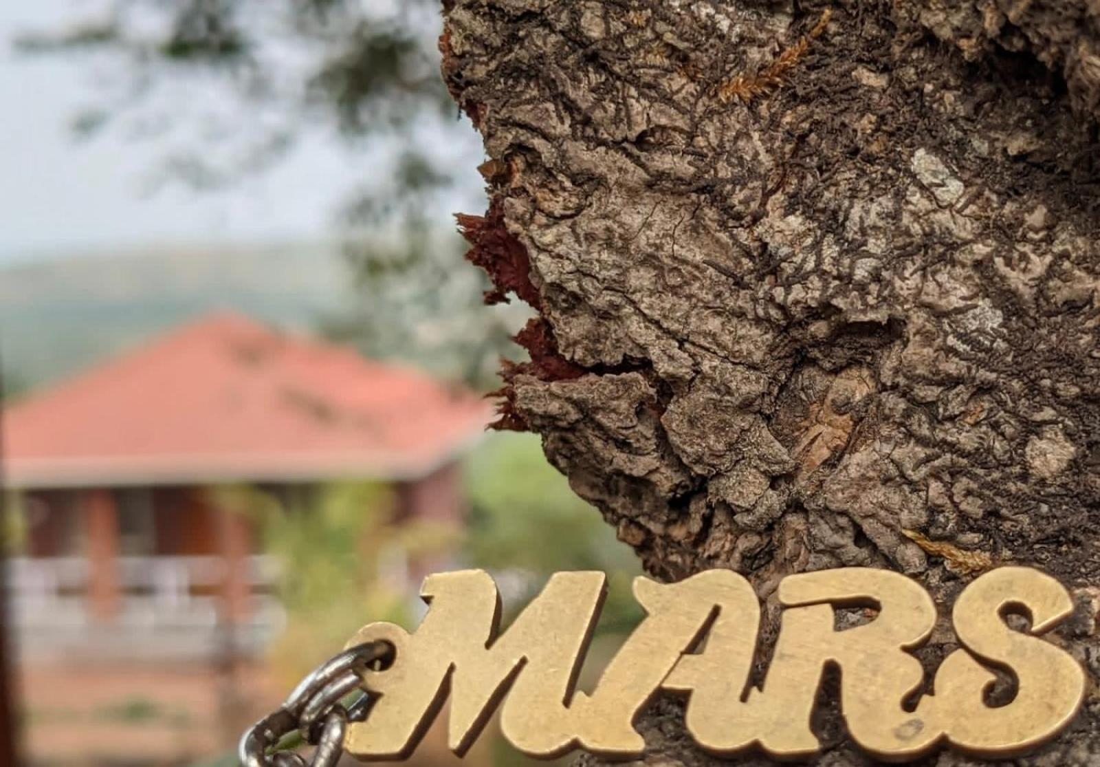 Mars Jungle Adventure Stud Farm With Private Jacuzzi Villa Narsinge Dış mekan fotoğraf