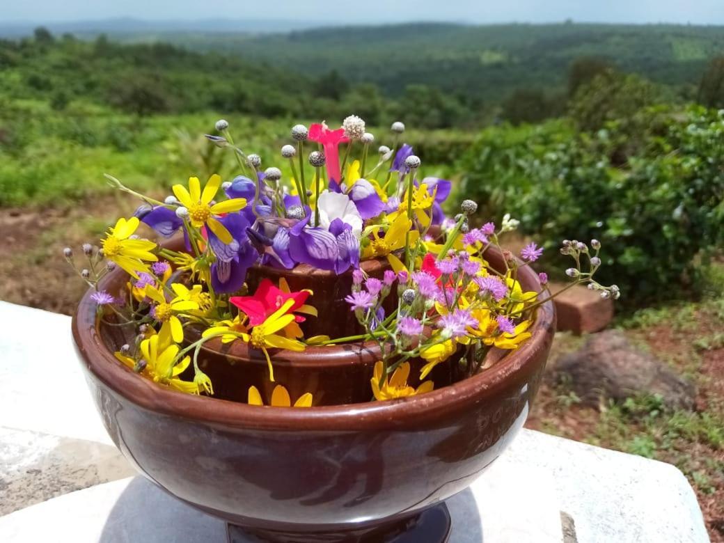 Mars Jungle Adventure Stud Farm With Private Jacuzzi Villa Narsinge Dış mekan fotoğraf