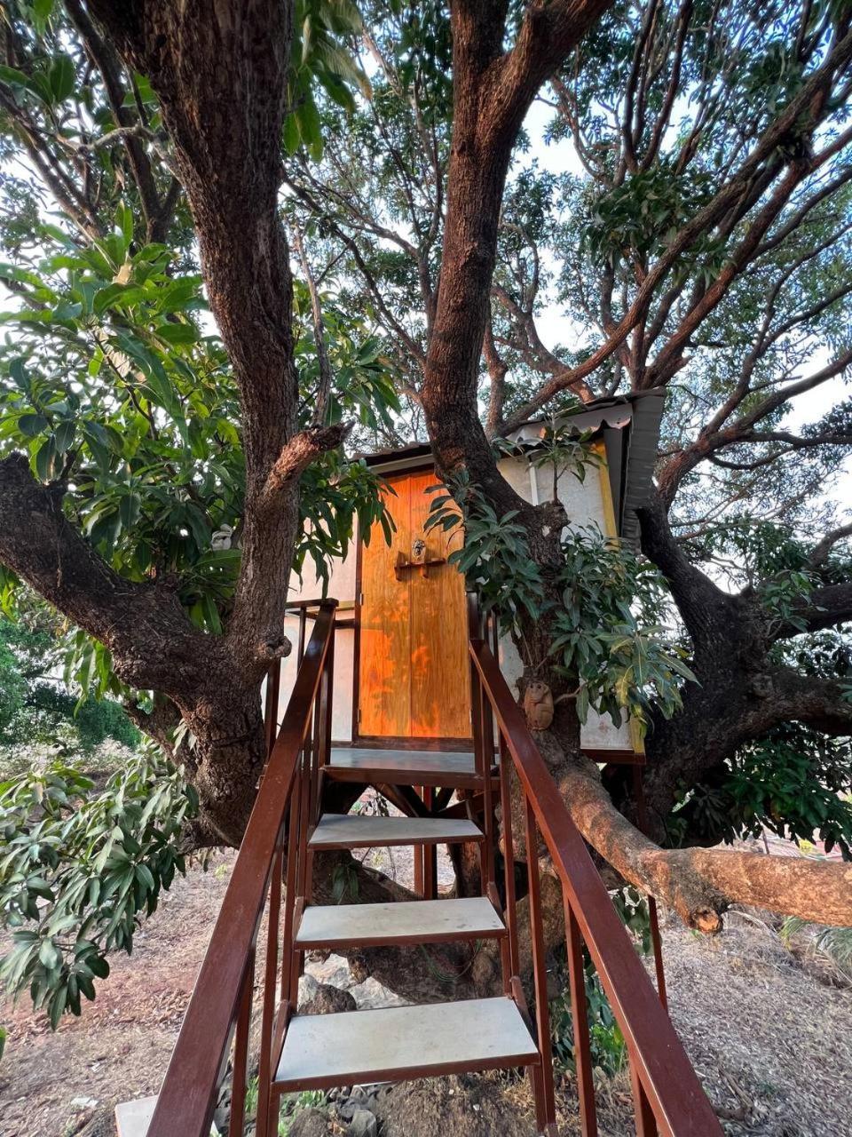 Mars Jungle Adventure Stud Farm With Private Jacuzzi Villa Narsinge Oda fotoğraf