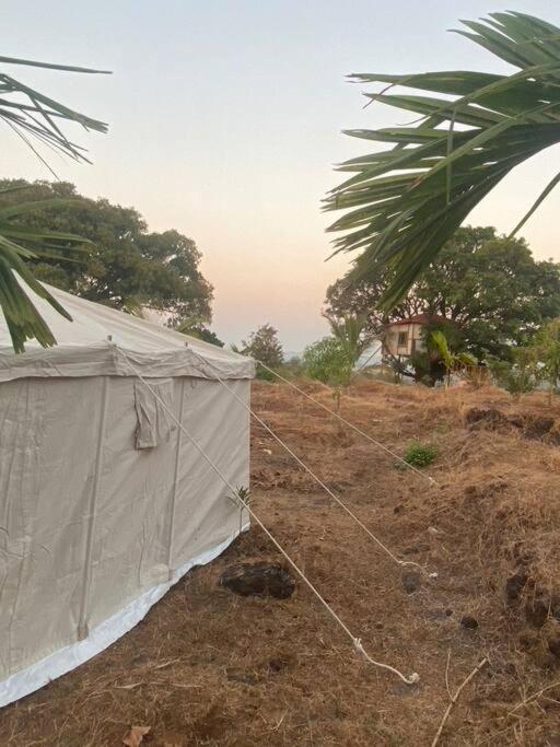 Mars Jungle Adventure Stud Farm With Private Jacuzzi Villa Narsinge Oda fotoğraf